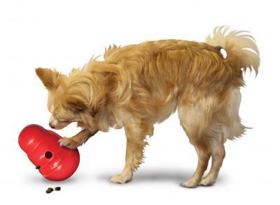 KONG Wobbler - Hundespielzeug und Futterdummy