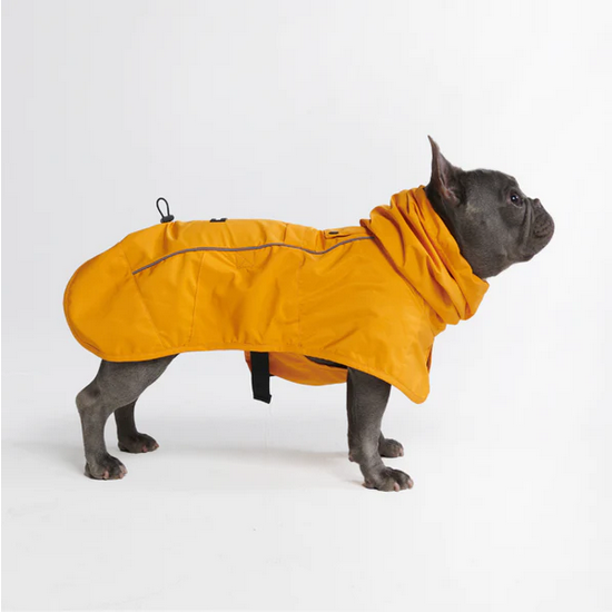 Hunde-Regenmantel gelb